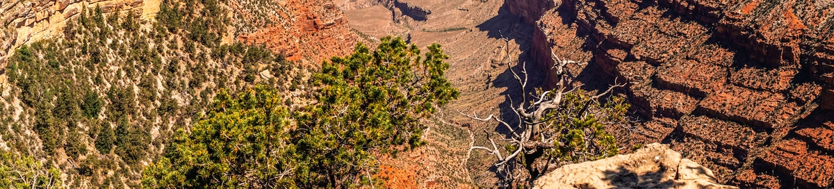 Grand Canyon and Utah: Rugged Mountains and Riverbeds