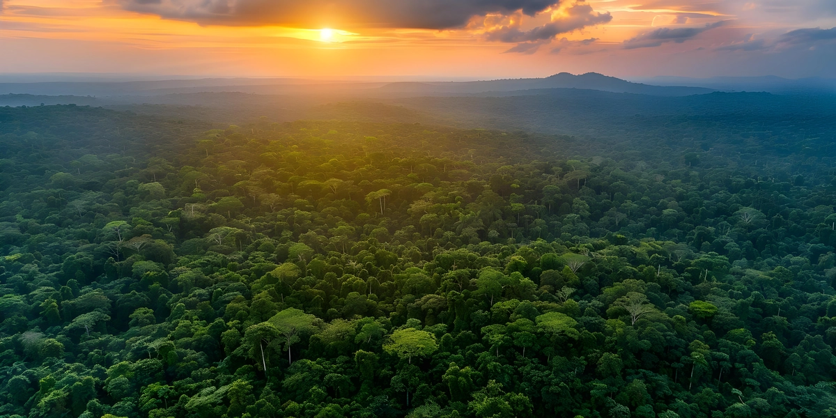 Brazilian Amazon Eco-Luxury: Best Stays Beyond Manaus in 2026