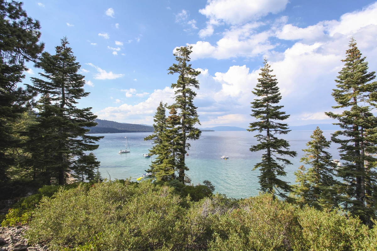 Solitaire Lodge: Quiet Luxury on New Zealand’s Lake Tarawera