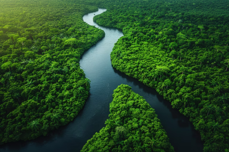 Các nhánh sông nước đen của Amazon, Brazil