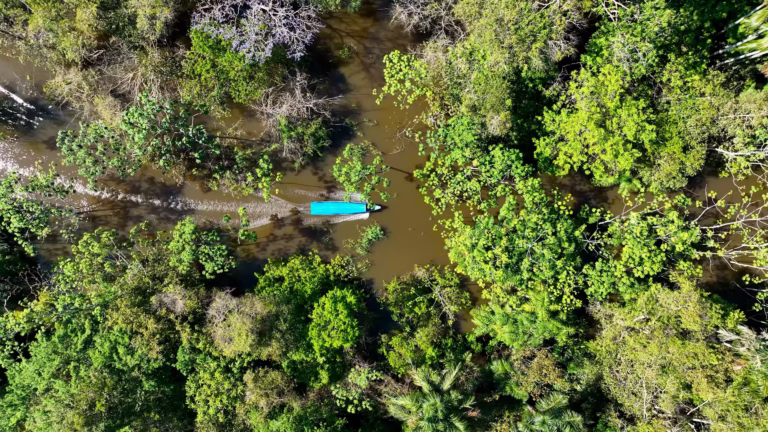 Boot op de rivier bij Manaus, Brazilië