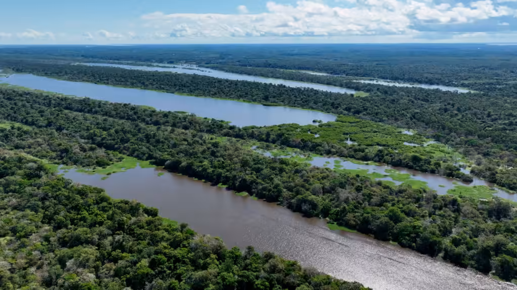 Waktu kunjungan terbaik ke Amazon: alur sungai dan danau tersebar di hutan hujan, tampak dari udara