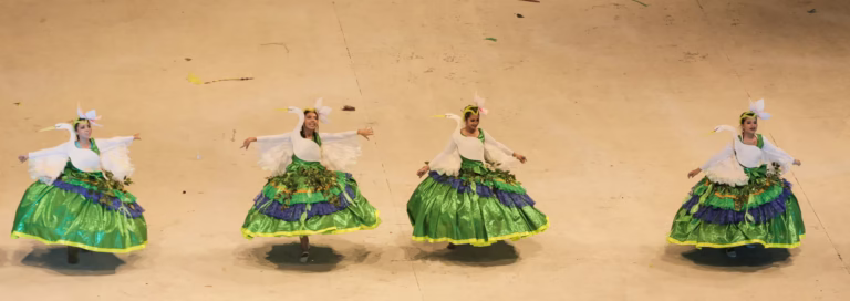 Festival de Parintins, actuación de Boi Bumbá, Brasil