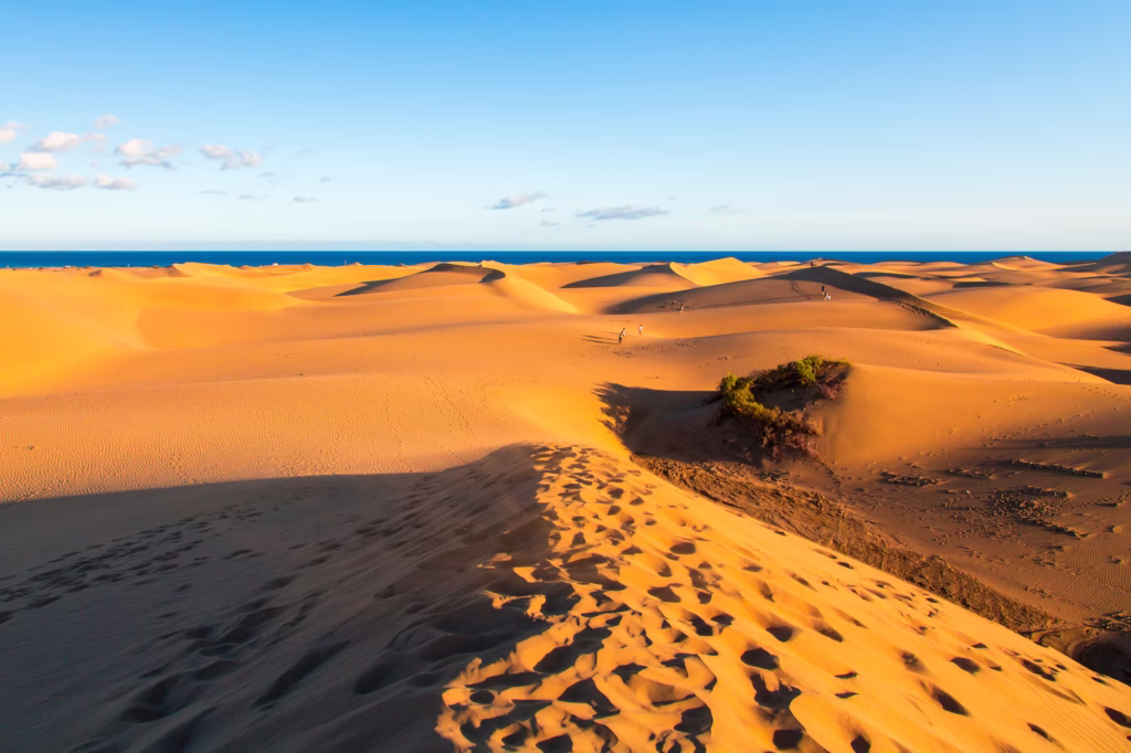 Zbliżenie na wydmy Maspalomas, Gran Canaria