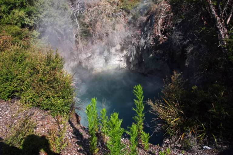 Park termalny w Rotorua, Nowa Zelandia