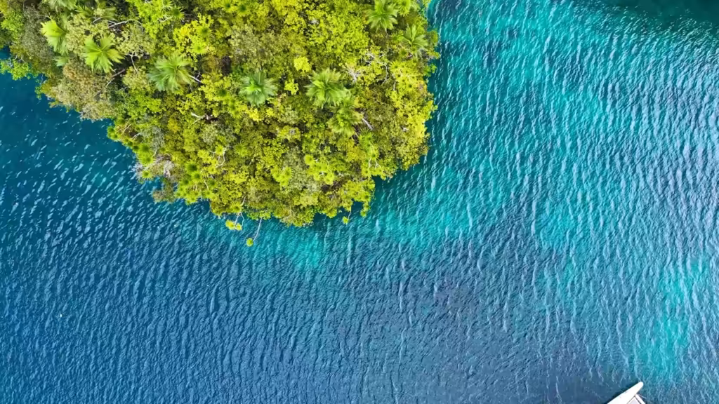 ターコイズブルーのラグーンが広がる緑豊かな島