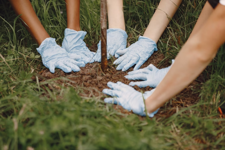 Handen die een stekje planten, vrijwilligers